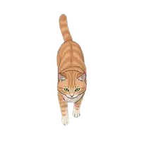 Cat walk animation from an AI generated sprite